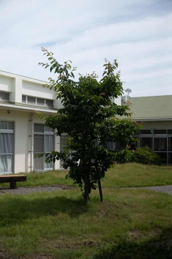 仁尾福祉会の風景_01