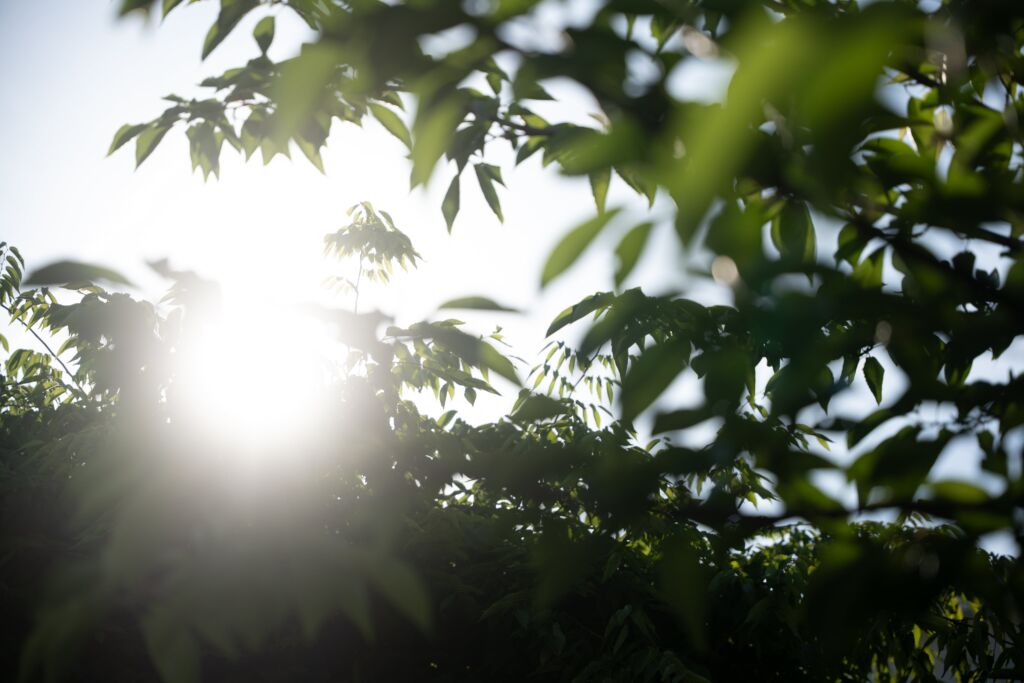 仁尾福祉会の風景_03